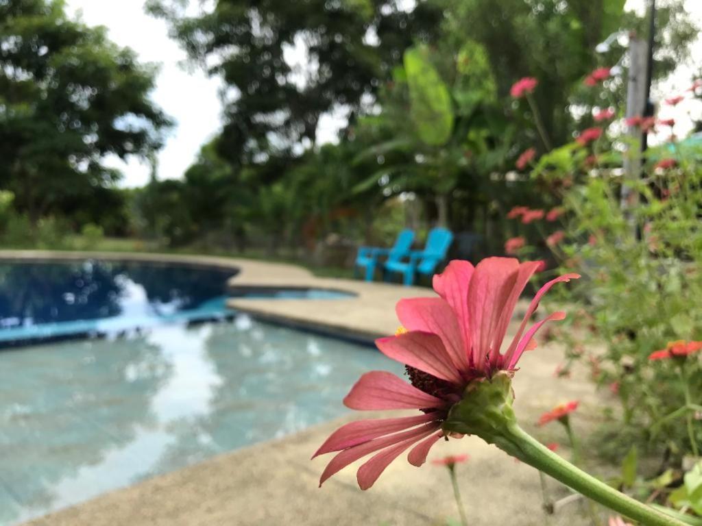 Отель Quinta El Mamey Рио-Верде Экстерьер фото