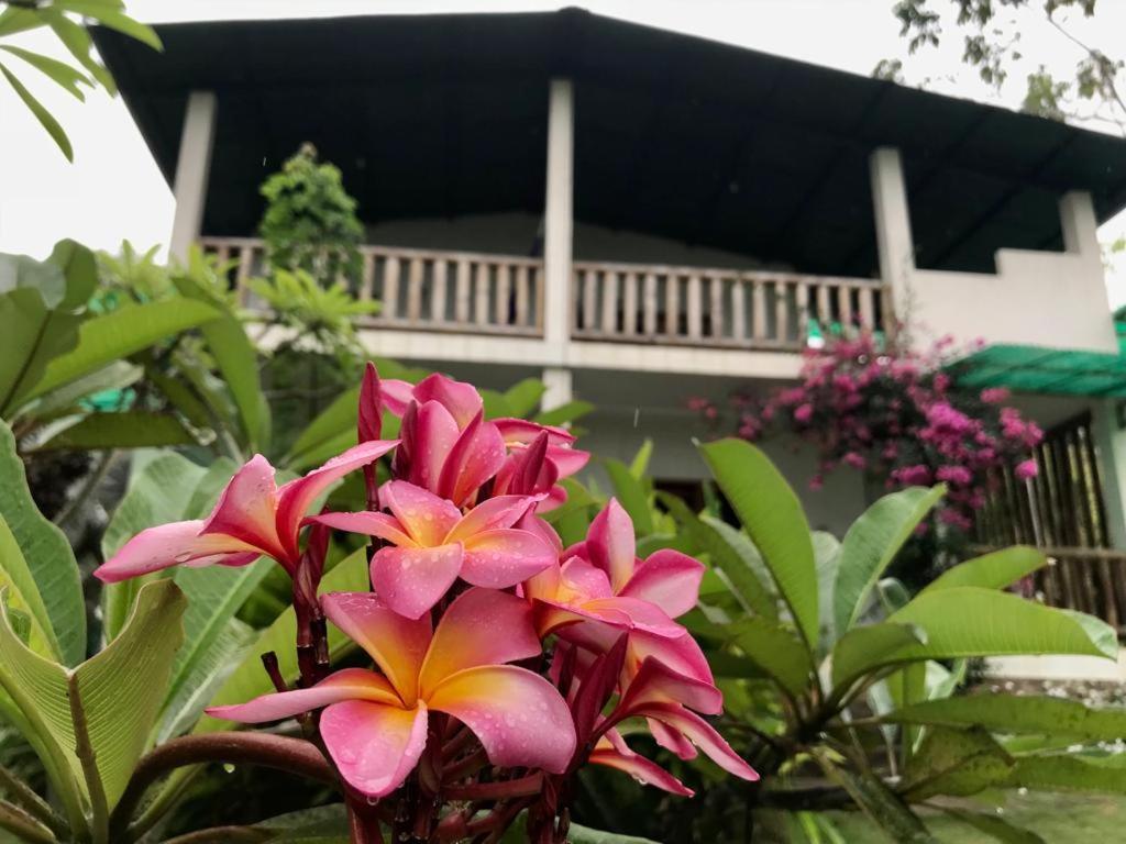 Отель Quinta El Mamey Рио-Верде Экстерьер фото