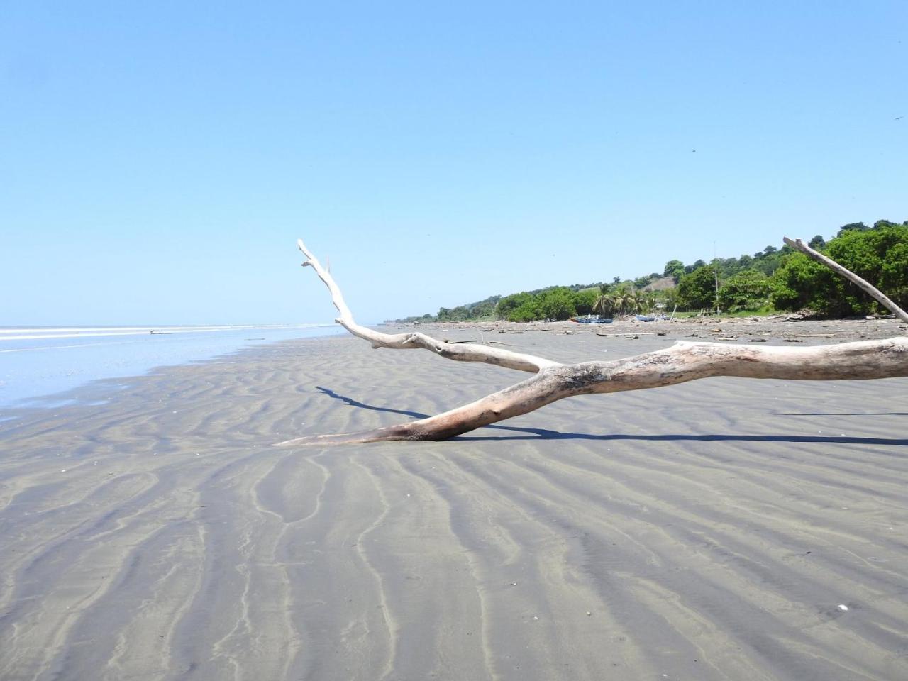 Отель Quinta El Mamey Рио-Верде Экстерьер фото
